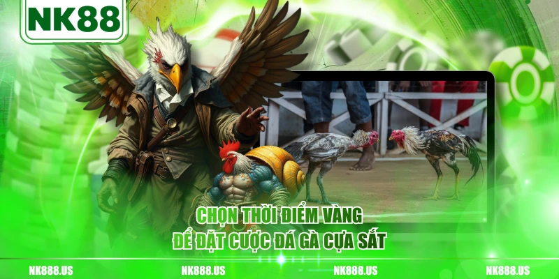 Chọn thời điểm vàng để đặt cược đá gà cựa sắt
