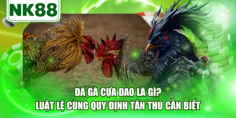 Đá Gà Cựa Dao