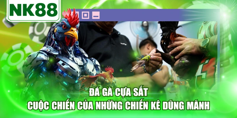 Đá Gà Cựa Sắt