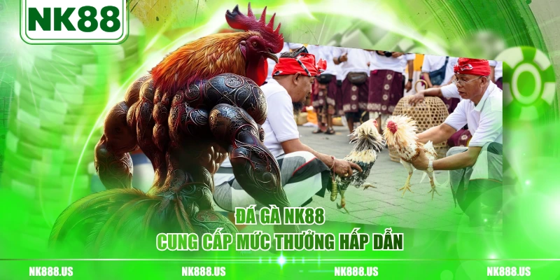 Đá gà NK88 cung cấp mức thưởng hấp dẫn