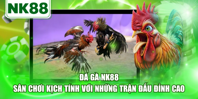 Thông tin sơ lược về chuyên mục đá gà NK88