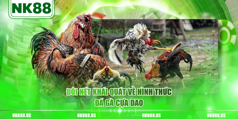 Đôi nét khái quát về hình thức đá gà cựa dao