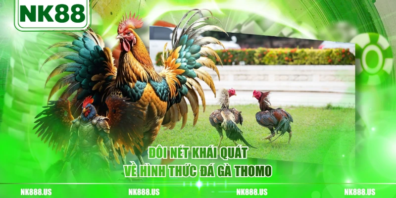 Đôi nét khái quát về hình thức đá gà Thomo