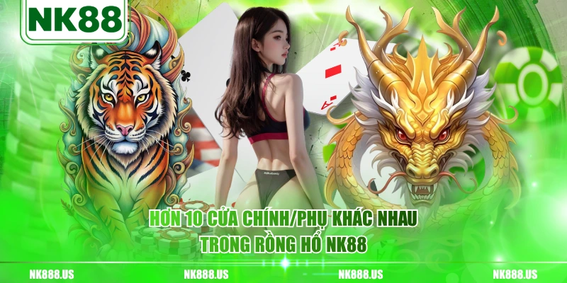 Hơn 10 cửa chính/phụ khác nhau trong Rồng Hổ NK88