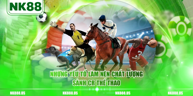 Những yếu tố làm nên chất lượng sảnh CR thể thao