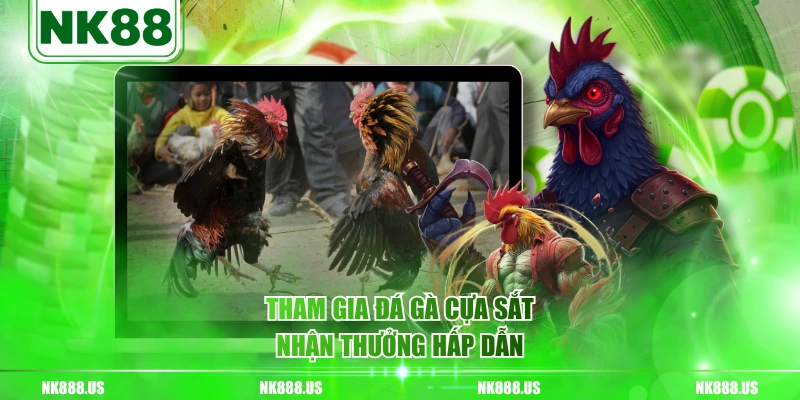 Tham gia đá gà cựa sắt nhận thưởng hấp dẫn