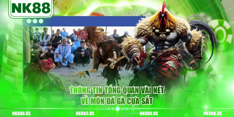 Thông tin tổng quan vài nét về môn đá gà cựa sắt