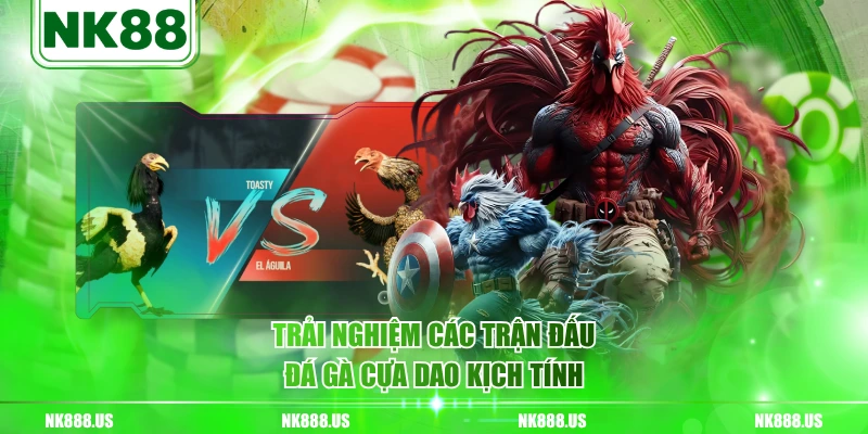 Trải nghiệm các trận đấu đá gà cựa dao kịch tính
